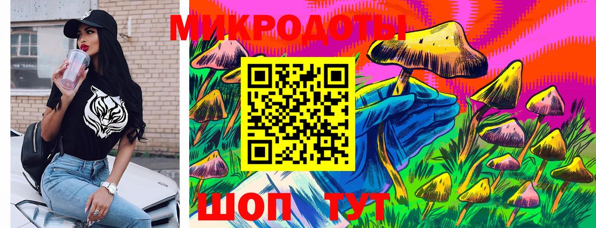 Владимир  Галлюциногенные грибы Psilocybine cubensis  Вход с VPN  Псилоцибиновые грибы MAGIC MUSHROOMS 